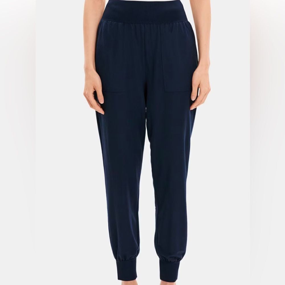 Theory Black Velvet Rumdi Joggers